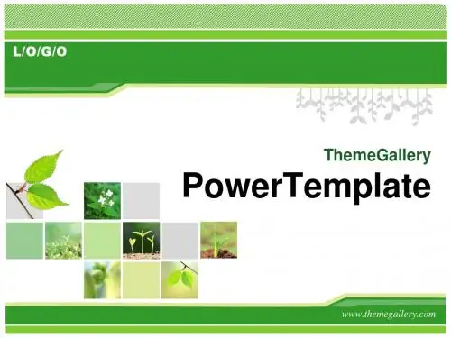 国外精美动态PPT模板(免费下载)powerpoint模板下载