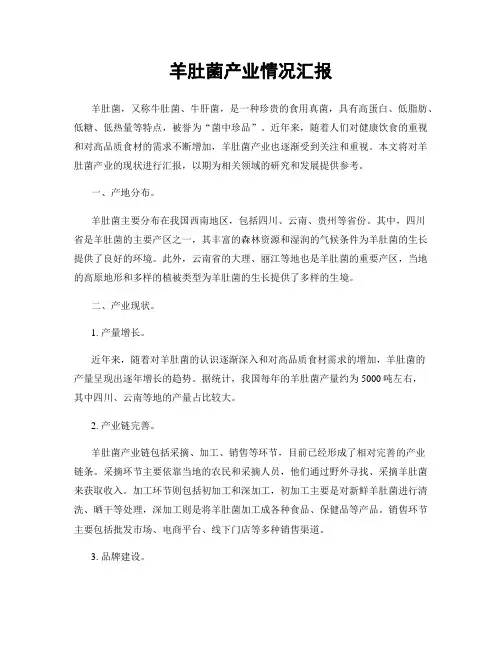 羊肚菌产业情况汇报