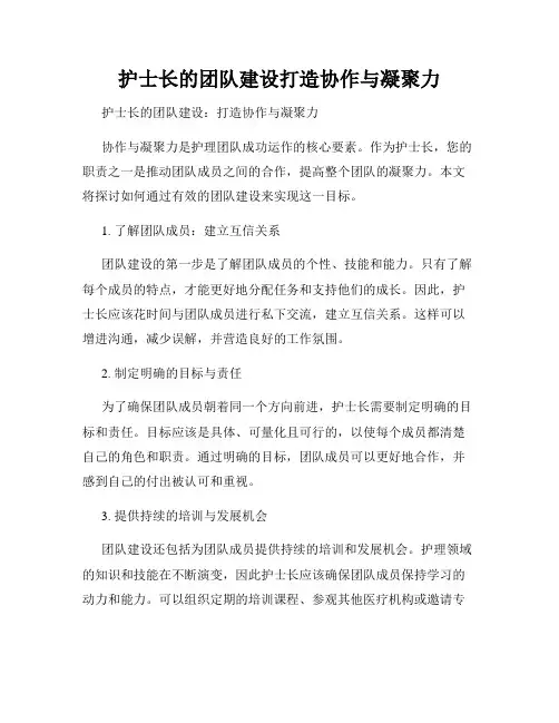 护士长的团队建设打造协作与凝聚力