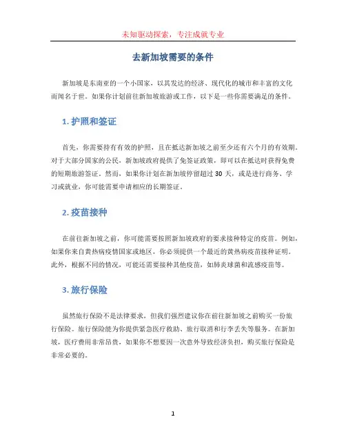 去新加坡需要的条件 (2)