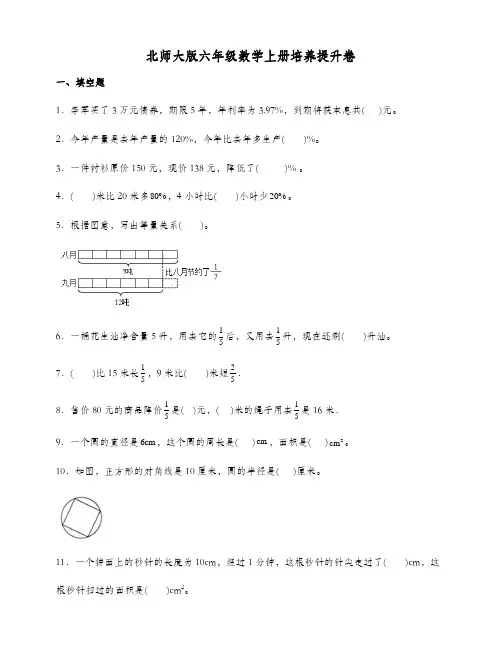 北师大版六年级数学上册培优提升卷 (含答案)