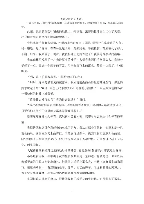 奇遇记作文(10篇)