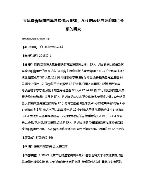 大鼠脊髓缺血再灌注损伤后ERK、Akt的表达与细胞凋亡关系的研究