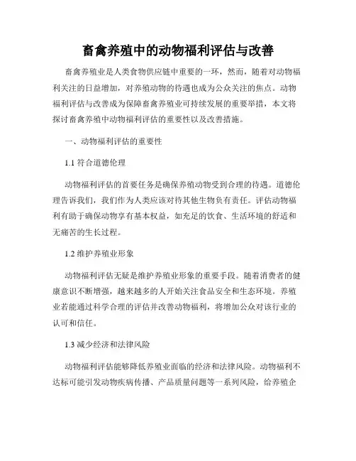 畜禽养殖中的动物福利评估与改善
