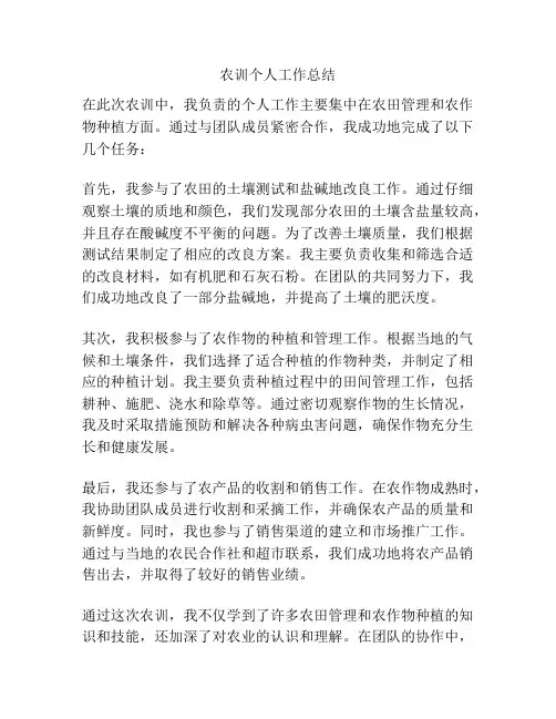 农训个人工作总结