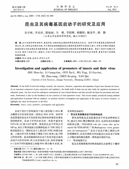 昆虫及其病毒基因启动子的研究及应用