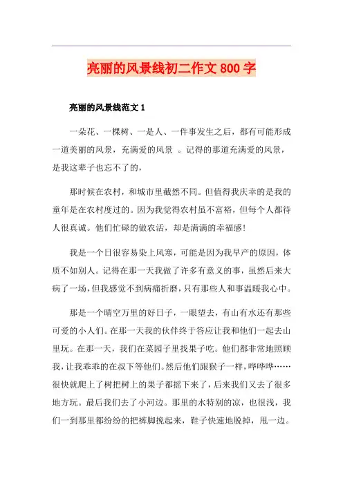 亮丽的风景线初二作文800字