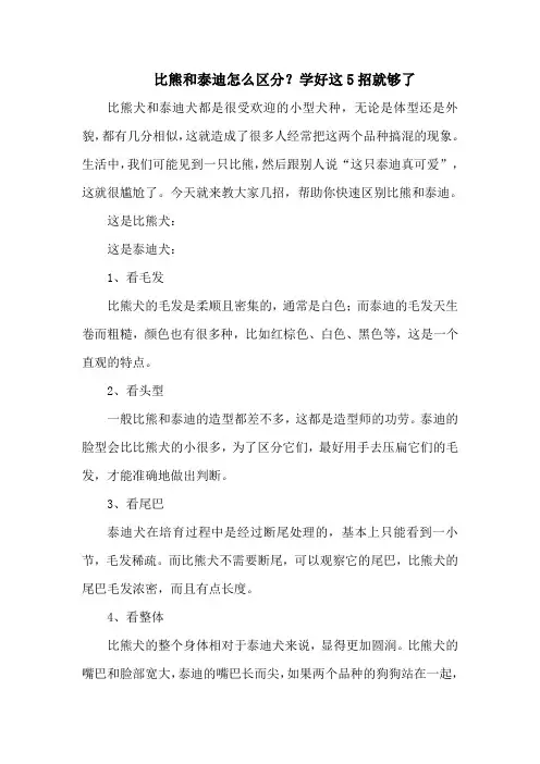 比熊和泰迪怎么区分？学好这5招就够了