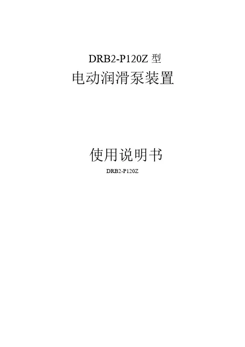 DRB2-P120Z电动润滑泵装置
