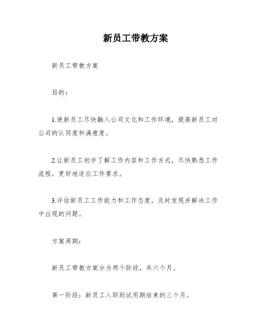 新员工带教方案