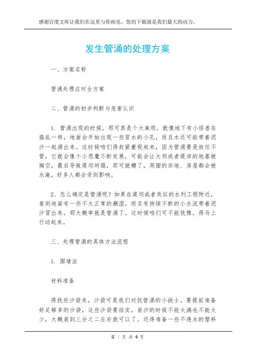 发生管涌的处理方案