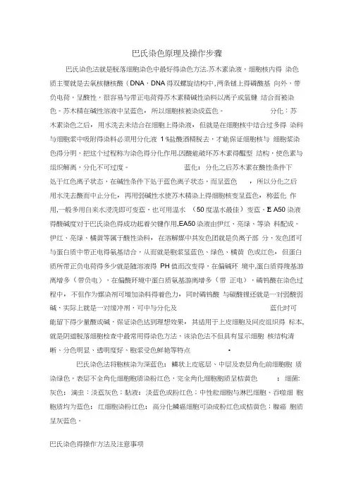 巴氏染色原理及操作步骤
