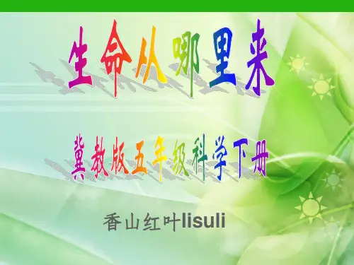 (冀教版)五年级科学下册《生命从哪里来》ppt课件