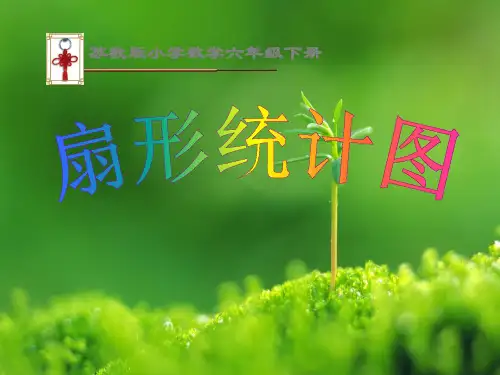 苏教版2019数学六下第1单元《扇形统计图》ppt课件(4)