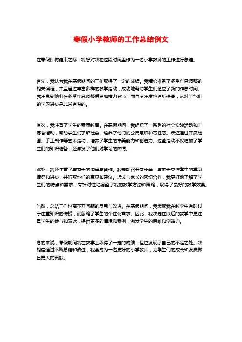 寒假小学教师的工作总结例文