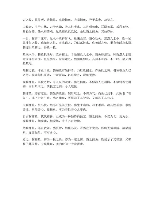 文言文翻译猫捕鱼