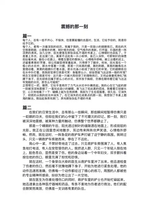 震撼的那一刻作文800字细节描写