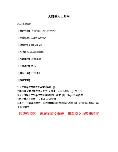 大排量人工升举