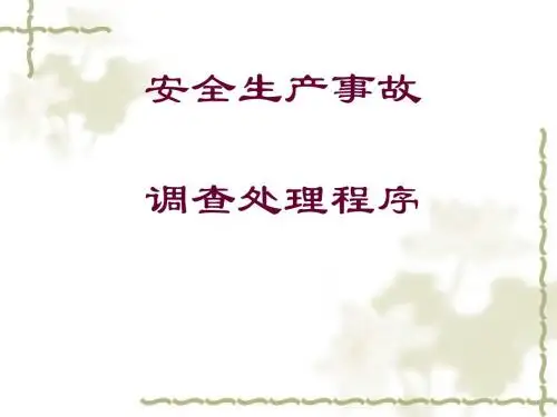安全生产事故调查处理程序概述(PPT 47张)