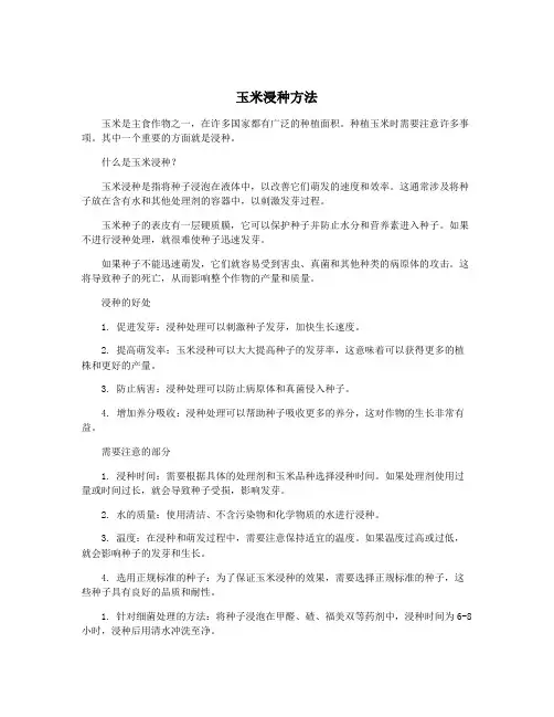玉米浸种方法
