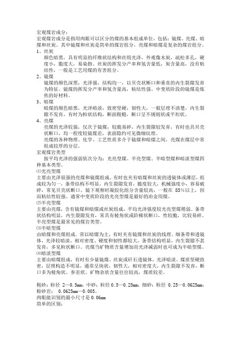 煤的宏观岩性