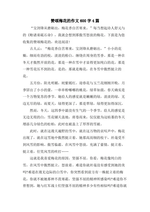 赞颂梅花的作文600字4篇