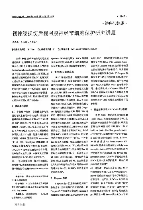 视神经损伤后视网膜神经节细胞保护研究进展