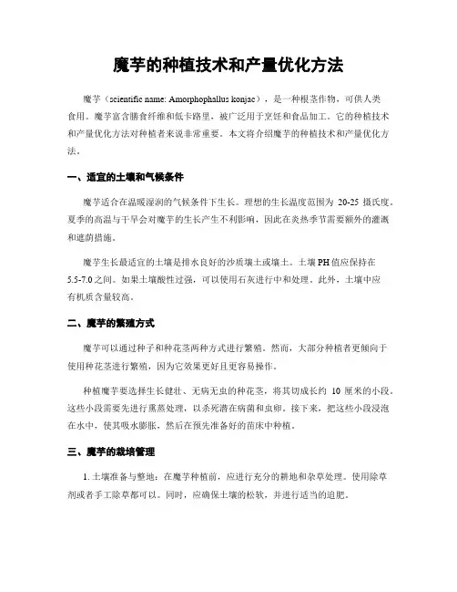 魔芋的种植技术和产量优化方法