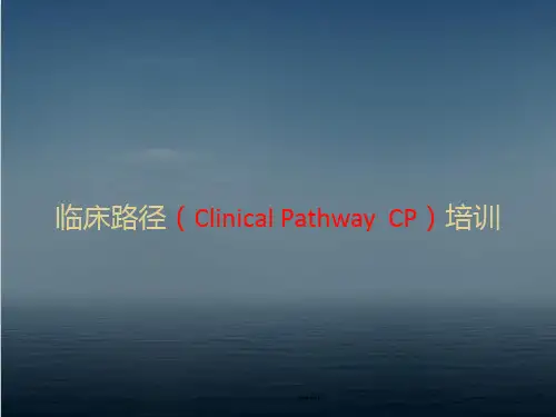 临床路径  ppt课件