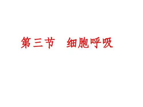 高三生物复习-----细胞呼吸ppt课件