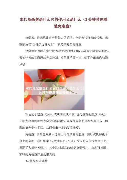 宋代兔毫盏是什么它的作用又是什么(3分钟带你看懂兔毫盏)
