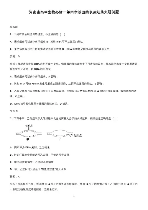 河南省高中生物必修二第四章基因的表达经典大题例题