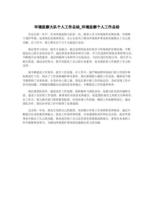 环境监察大队个人工作总结_环境监察个人工作总结