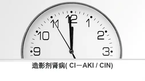 造影剂肾病( CI-AKI  CIN)---PPT精品课件