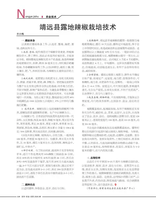 靖远县露地辣椒栽培技术