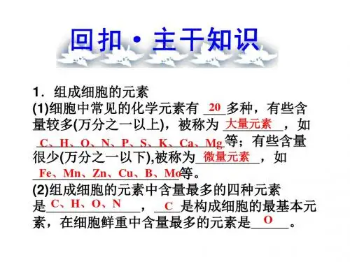 细胞中的元素化合物及无机盐