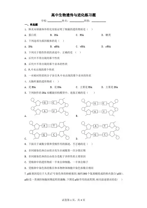 高中生物遗传与进化练习题(含解析)