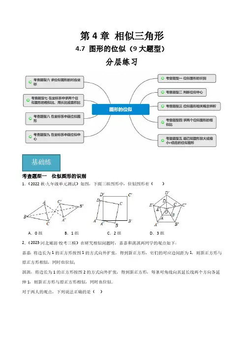 4.7 图形的位似(9大题型)(分层练习)(原卷版)