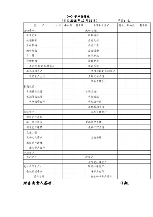 社会团体财务报表模板
