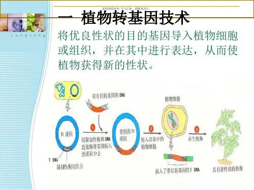 转基因植物和安全评价