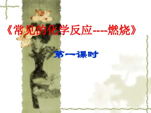 沪教版九年级化学上册第四章第1节 常见的化学反应——燃烧(共18张PPT)