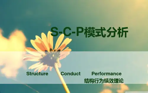 scp结构行为绩效理论分析