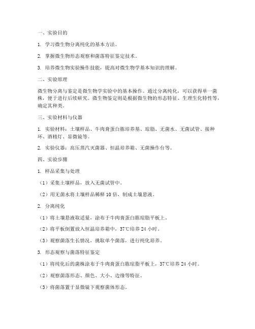 微生物实验报告