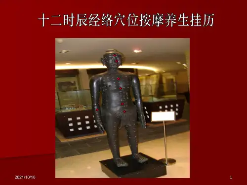 十二时辰经络x穴位养生运行