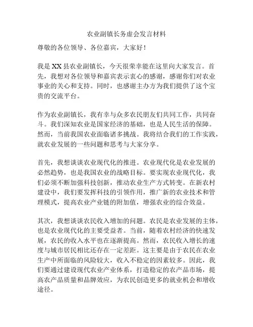 农业副镇长务虚会发言材料