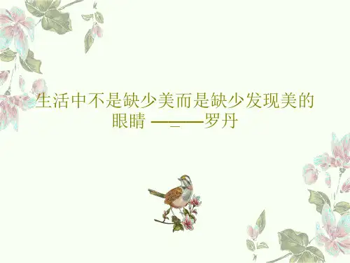 生活中不是缺少美而是缺少发现美的眼睛 ———罗丹17页PPT