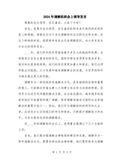 2024年调解组织会上领导发言