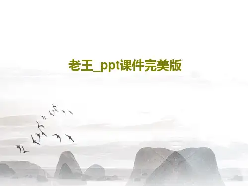 老王_ppt课件完美版共30页