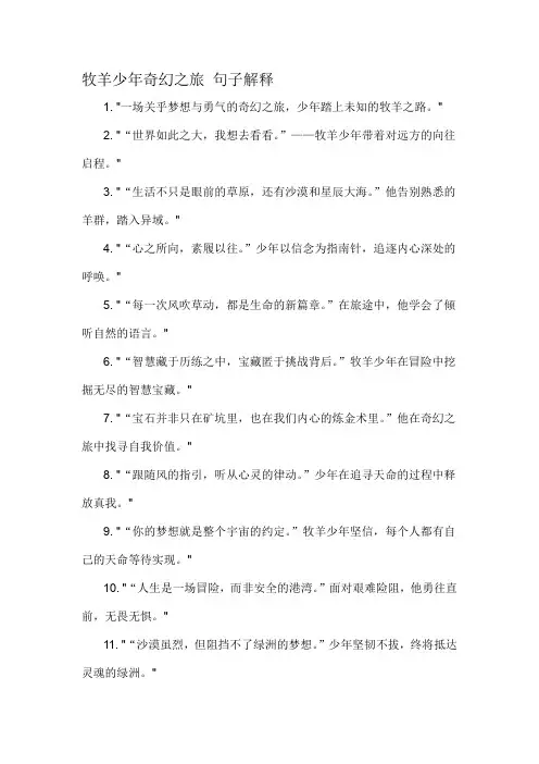 牧羊少年奇幻之旅 句子解释-概述说明以及解释