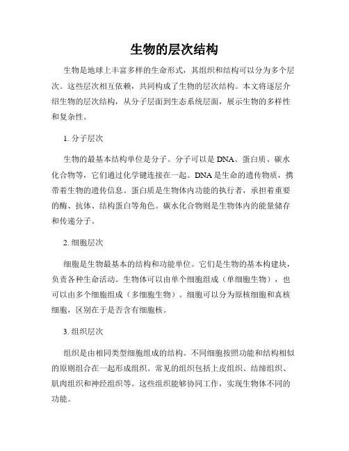 生物的层次结构
